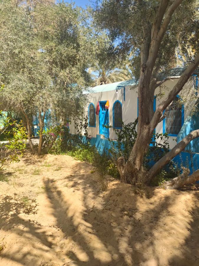 Panta Lodge Siwa بنتا لودج سيوة Siwa Oasis Zewnętrze zdjęcie