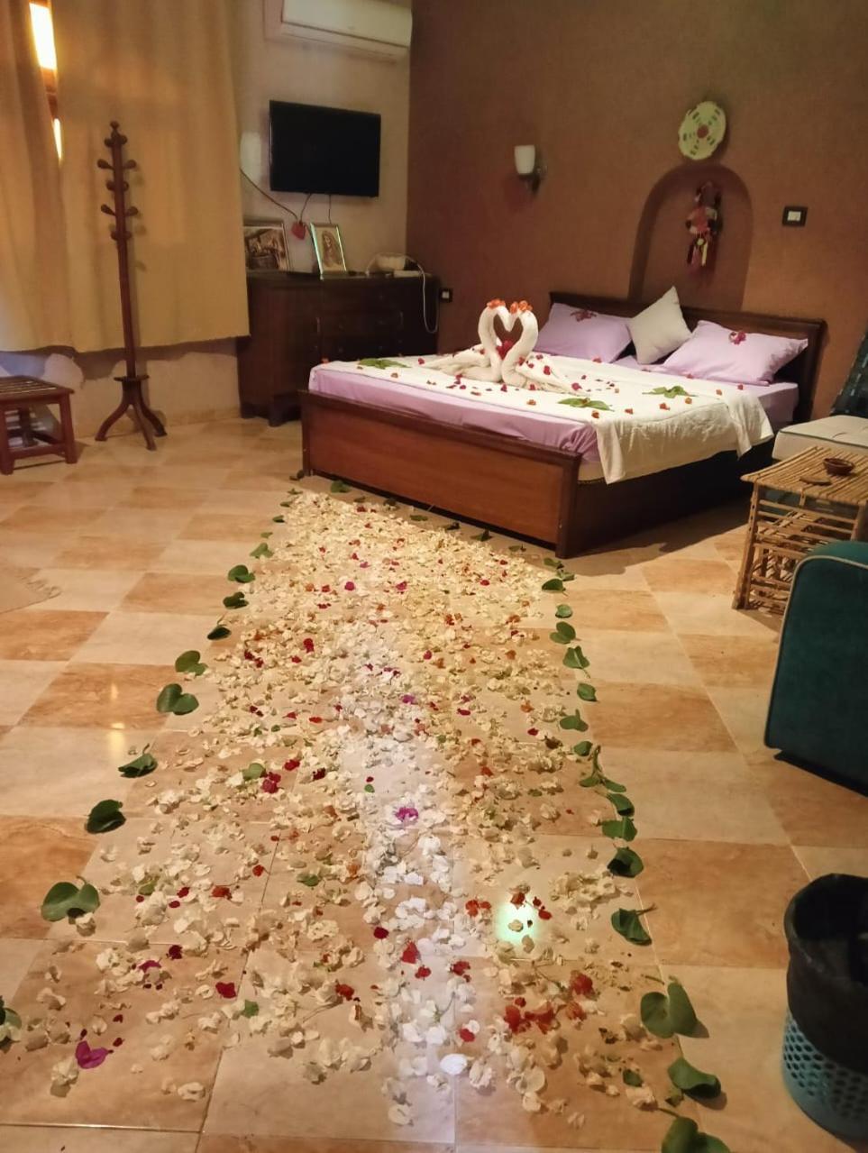 Panta Lodge Siwa بنتا لودج سيوة Siwa Oasis Zewnętrze zdjęcie