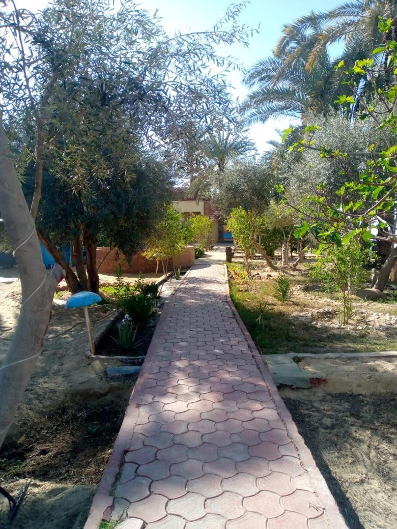 Panta Lodge Siwa بنتا لودج سيوة Siwa Oasis Zewnętrze zdjęcie