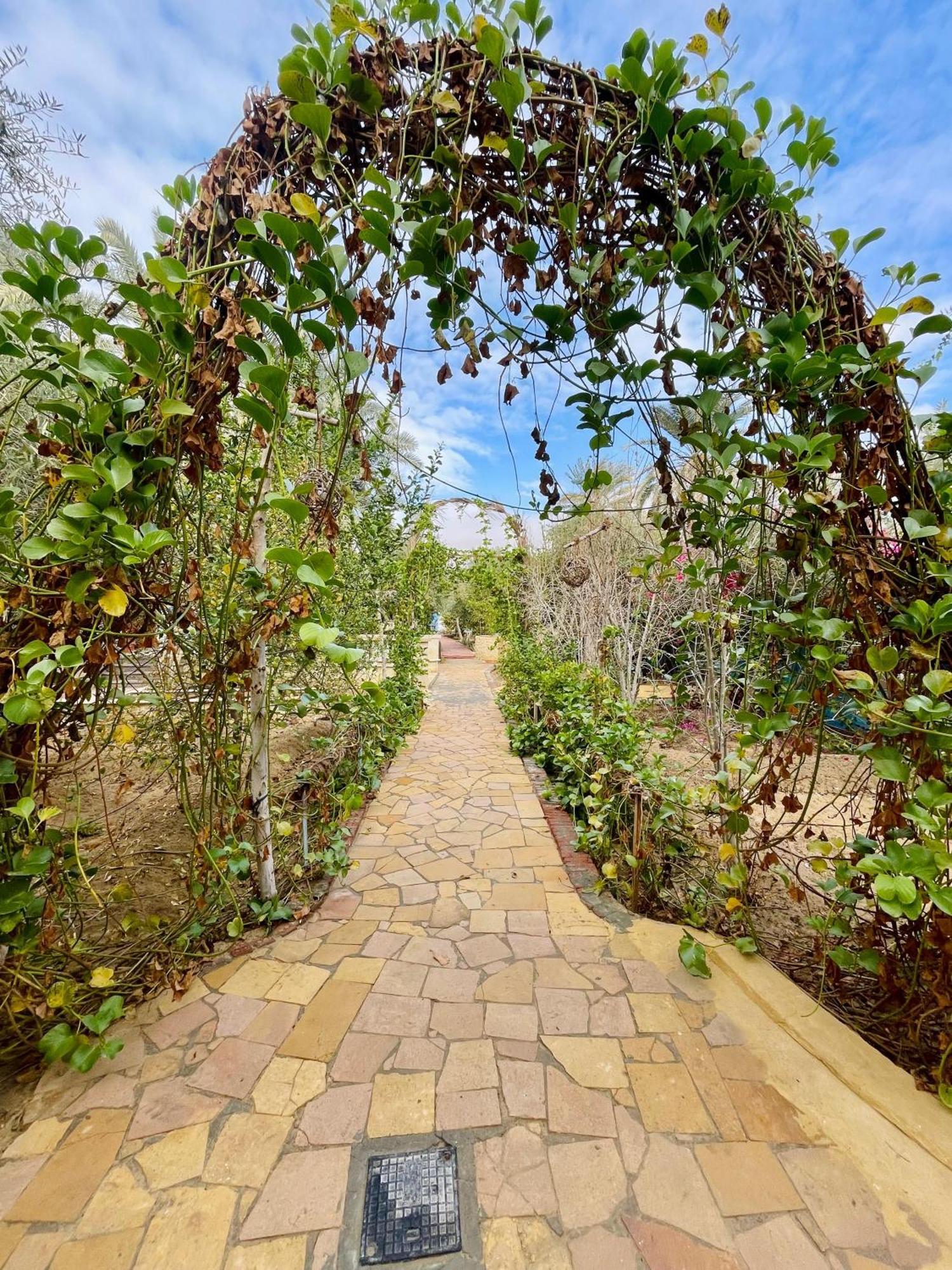 Panta Lodge Siwa بنتا لودج سيوة Siwa Oasis Zewnętrze zdjęcie